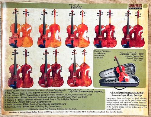 Fiddle-Fair-3